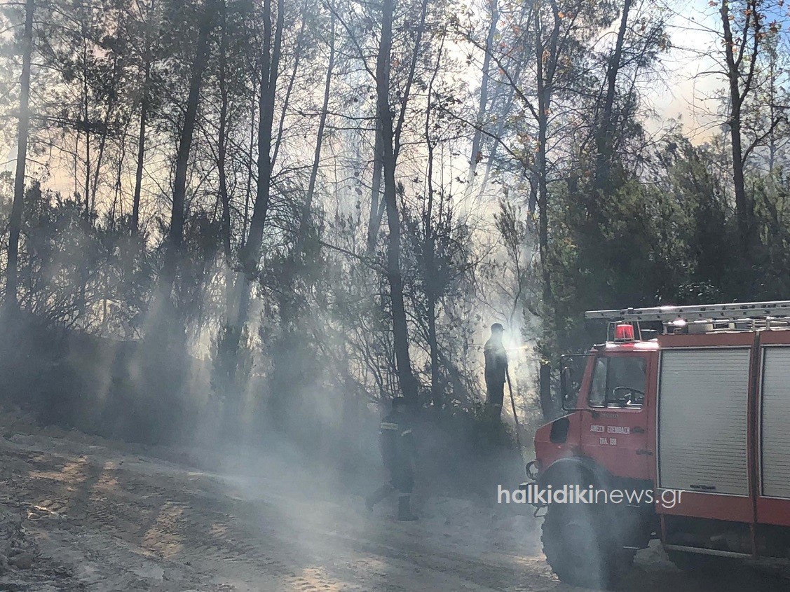 Υπό μερικό έλεγχο η πυρκαγιά σε δασική έκταση στην Χαλκιδική (Φωτό & Βίντεο)