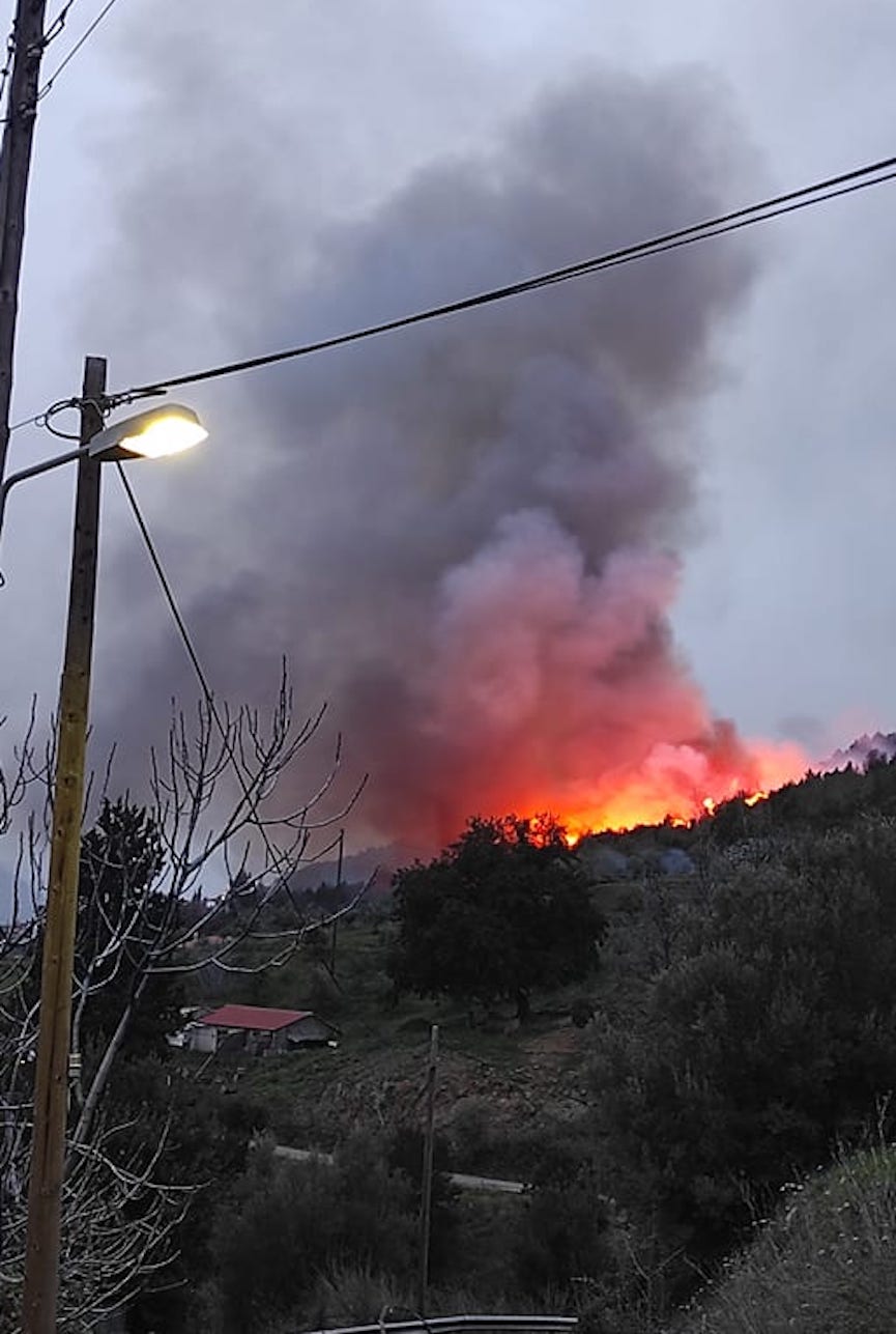 Αναζωπύρωση της πυρκαγιάς στο Ζαχοβούνι Ηλείας (Φωτό & Βίντεο)