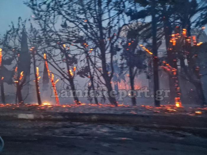 Φθιώτιδα: Κινδύνευσε από φωτιά το ξενοδοχείο «Λεβέντης» (Φωτό)