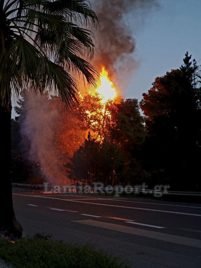 Φθιώτιδα: Κινδύνευσε από φωτιά το ξενοδοχείο «Λεβέντης» (Φωτό)