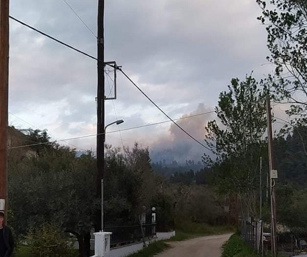 Σε εξέλιξη μεγάλη πυρκαγιά σε δασική έκταση στη Χαλκιδική (Φωτό)