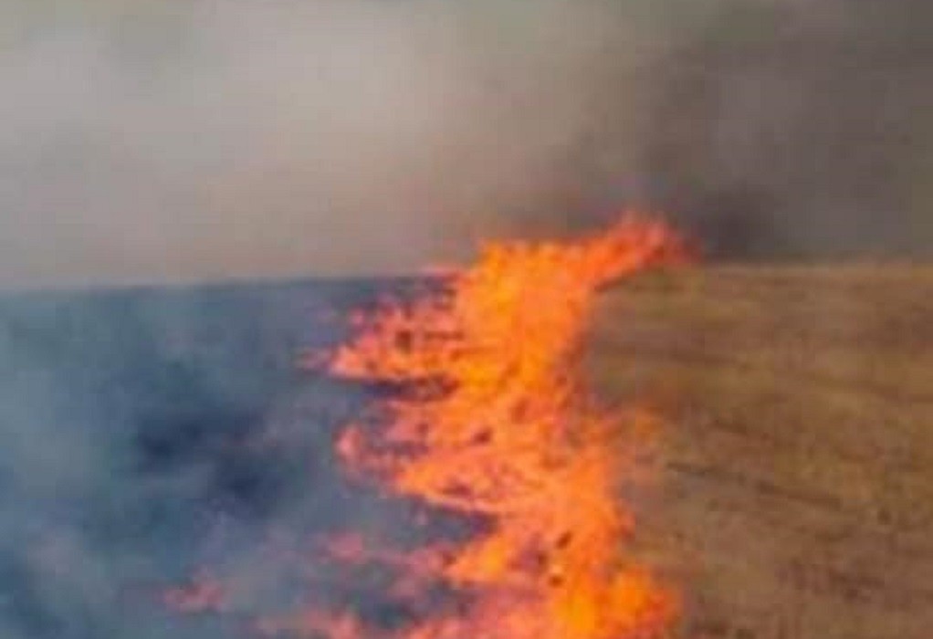 Πυρκαγιά σε εξέλιξη σε ξηρά χόρτα στην Σαλαμίνα Αττικής