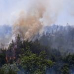 Πυρκαγιά στο Στανό Χαλκιδικής: Τί απέτρεψε την επέκταση – Στάχτη 15 στρέμματα δάσους