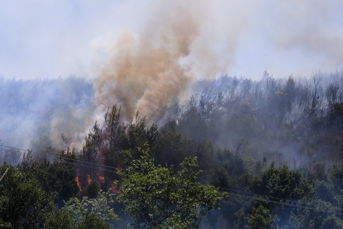 Πυρκαγιά στο Στανό Χαλκιδικής: Τί απέτρεψε την επέκταση – Στάχτη 15 στρέμματα δάσους
