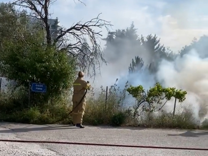 Πυρκαγιά εν υπαίθρω στο Λαγονήσι Αττικής (Φωτό)