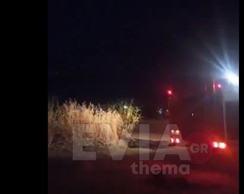 Εύβοια: Πυρκαγιά σε γεωργική έκταση στην Νέα Αρτάκη