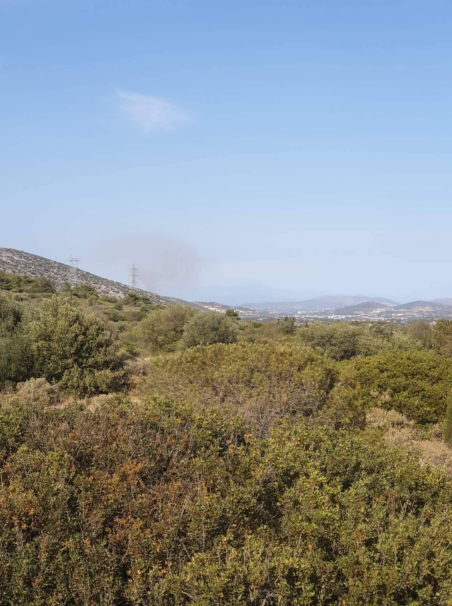 Πυρκαγιά ΤΩΡΑ σε γεωργική έκταση στο Μαρκόπουλο Μεσογαίας (Φωτό)