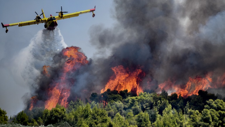 Μεγάλη πυρκαγιά σε δασική έκταση στην περιοχή Στανός Χαλκιδικής