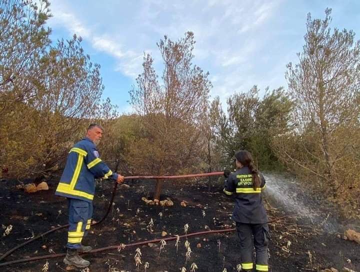 Πυρκαγιά σε χορτολιβαδική έκταση στην Άνω Γλυφάδα (Φωτό)