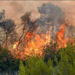 Πυροσβεστική: 32 δασικές πυρκαγιές το τελευταίο 24ωρο (20/05/22)