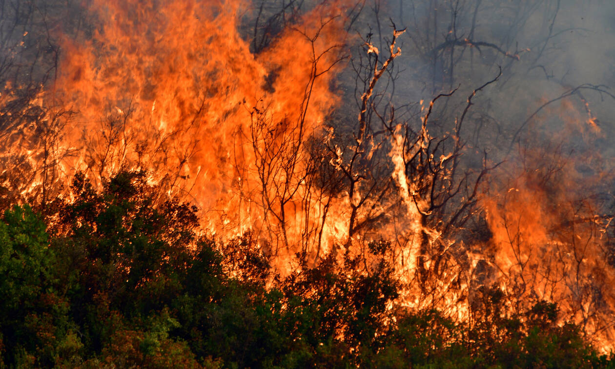 Αγρίνιο: 200 ευρώ πρόστιμο σε πολίτη γιατί έβαλε πυρκαγιά σε οικόπεδό του
