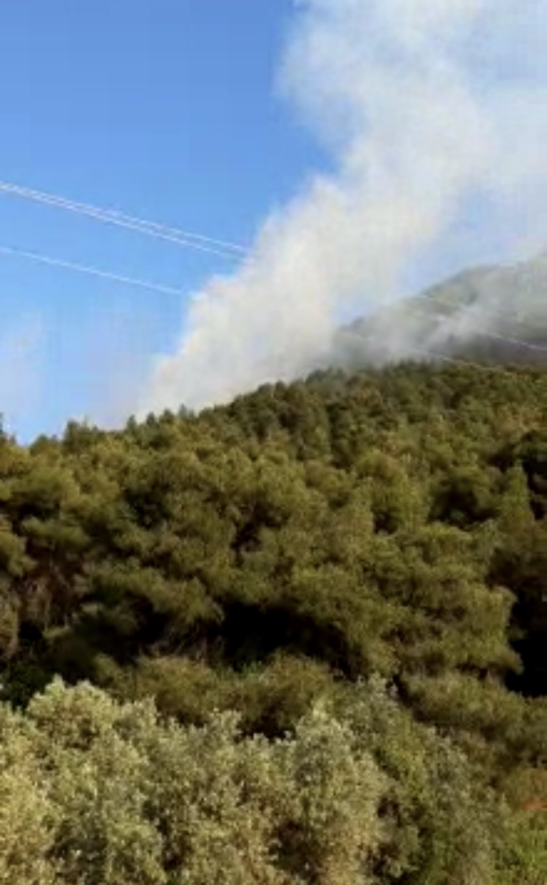 Σε εξέλιξη δασική πυρκαγιά στην Λιχάδα Εύβοιας (Βίντεο & Φωτό)