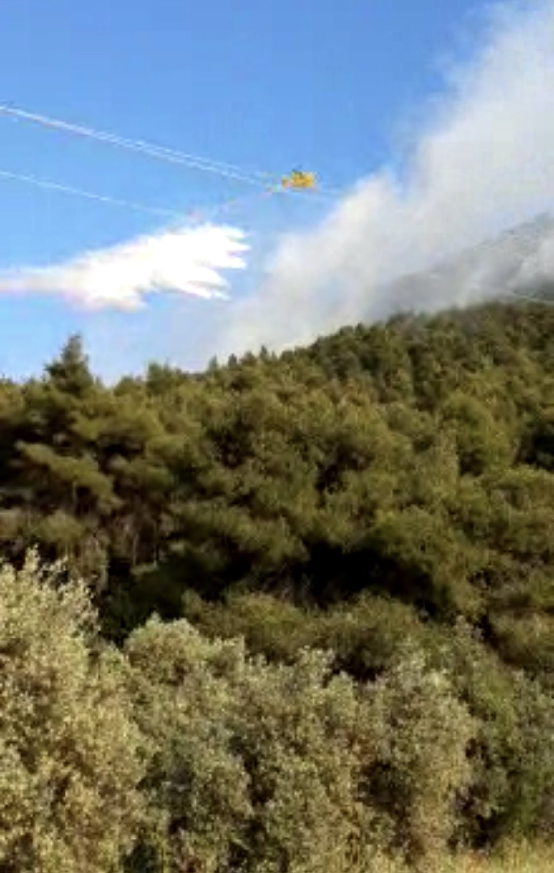 Σε εξέλιξη δασική πυρκαγιά στην Λιχάδα Εύβοιας (Βίντεο & Φωτό)