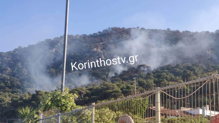 Σε εξέλιξη πυρκαγιά σε δασική έκταση στις Κεχριές Κορινθίας (Φωτό & Βίντεο)