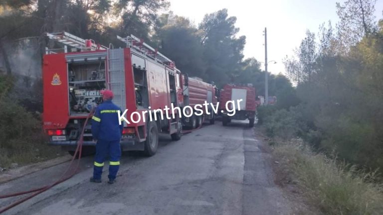 Σε εξέλιξη πυρκαγιά σε δασική έκταση στις Κεχριές Κορινθίας (Φωτό & Βίντεο)