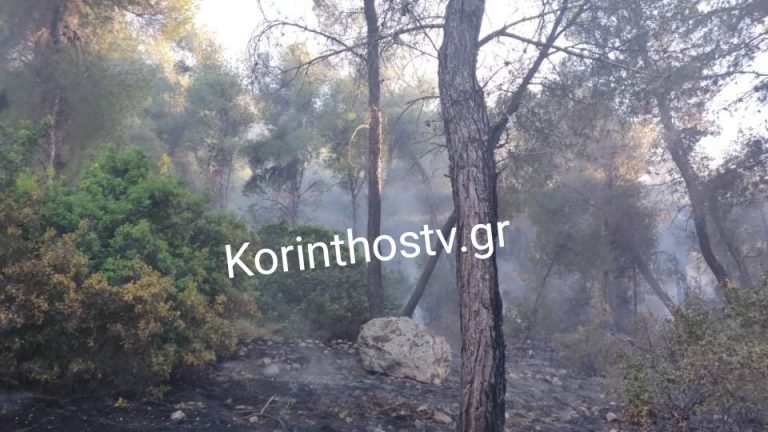 Σε εξέλιξη πυρκαγιά σε δασική έκταση στις Κεχριές Κορινθίας (Φωτό & Βίντεο)
