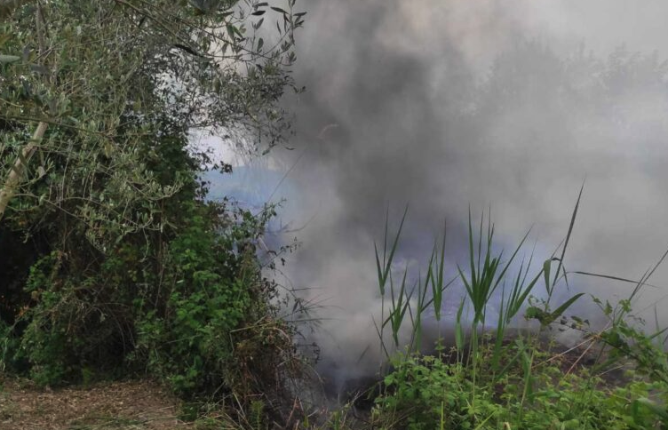 Πυρκαγιά σε έκταση με καλαμιές στον Δρυμό Βόνιτσας (Φωτό)