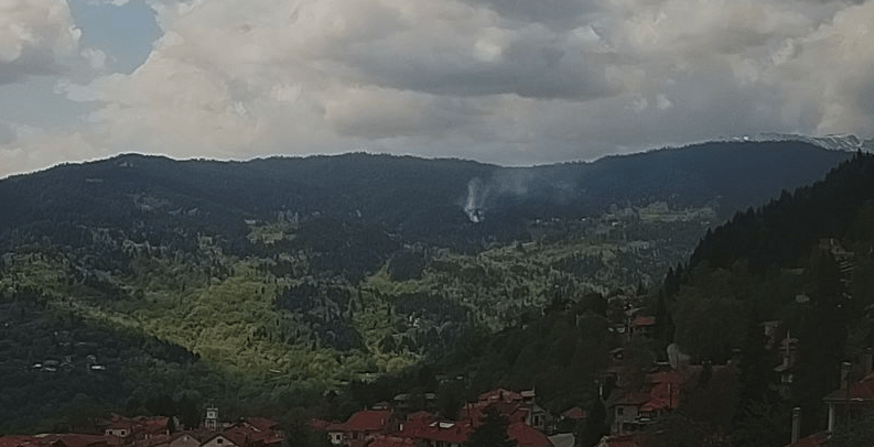 Πυρκαγιά σε δασική έκταση στην Βλάχα Τρικάλων (Φωτό)