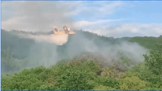 Υπό μερικό έλεγχο η πυρκαγιά στην περιοχή Στανός Χαλκιδικής