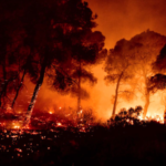 Η «μάχη» και τα στάδια της φωτιάς με την ορολογία της Πυροσβεστικής – Τεχνική ενημέρωση στους δημοσιογράφους
