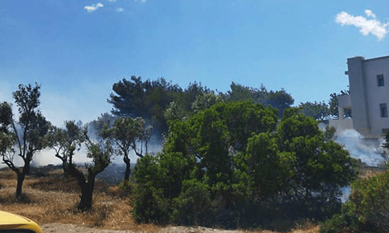Πυρκαγιά εν υπαίθρω στο Λαγονήσι Αττικής (Φωτό)