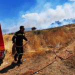 Εύβοια: Πυρκαγιά σε δάσος του δήμου Διρφύων-Μεσσαπίων