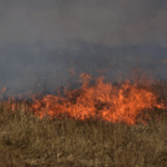 Επιβολή προστίμων για πυρκαγιές σε Έδεσσα και Σέρρες