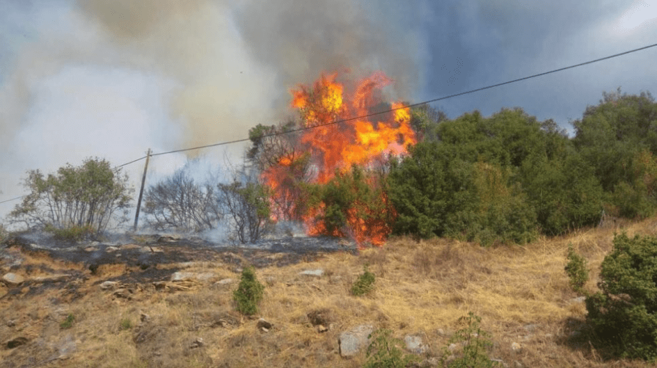 Πυροσβεστική: 14 δασικές πυρκαγιές το τελευταίο 24ωρο (24/05/22)