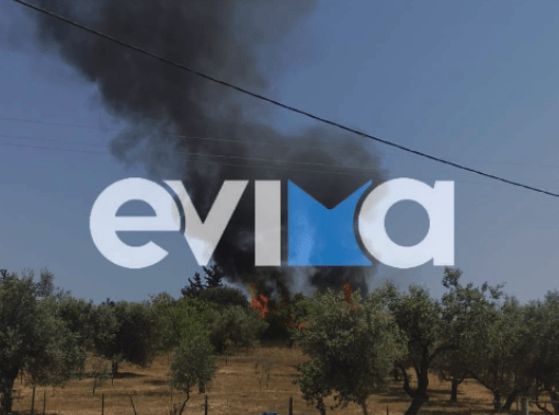 Εύβοια: Πυρκαγιά σε δασική έκταση κοντά στην Ερέτρια (Φωτό)
