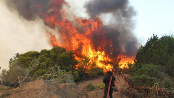 Ρόδος - Πυρκαγιά σε δασική έκταση στην Κολύμπια - Αρχίπολη