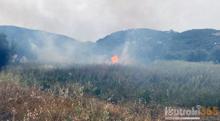 Πυρκαγιά σε ξερά χόρτα στη Λίμνη Ηραίου στο Λουτράκι (Φωτό)