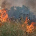 Θεσσαλονίκη: Έπεσαν τα πρώτα πρόστιμα για πυρκαγιά σε καλλιέργεια και κάπνισμα μελισσών