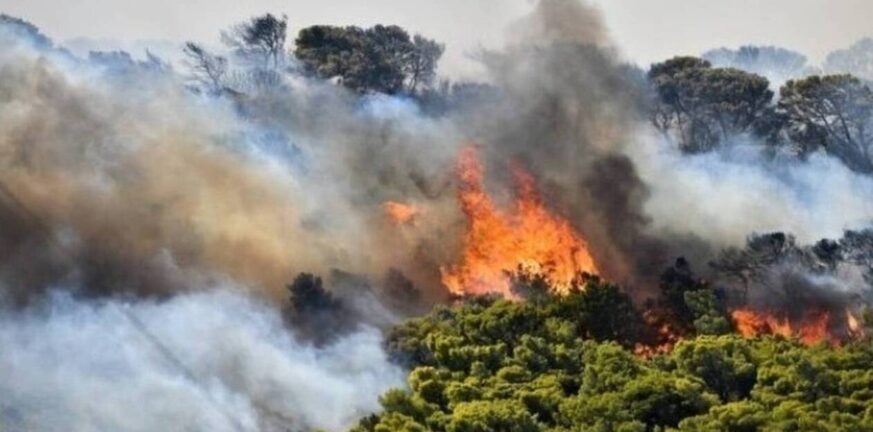 Πυρκαγιά ΤΩΡΑ σε χαμηλή Βλάστηση στην Σαλαμίνα.Κοντά σε σπίτια η πυρκαγιά