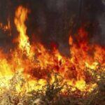 Πυρκαγιά εν υπαίθρω στον Κορυδαλλό Αττικής