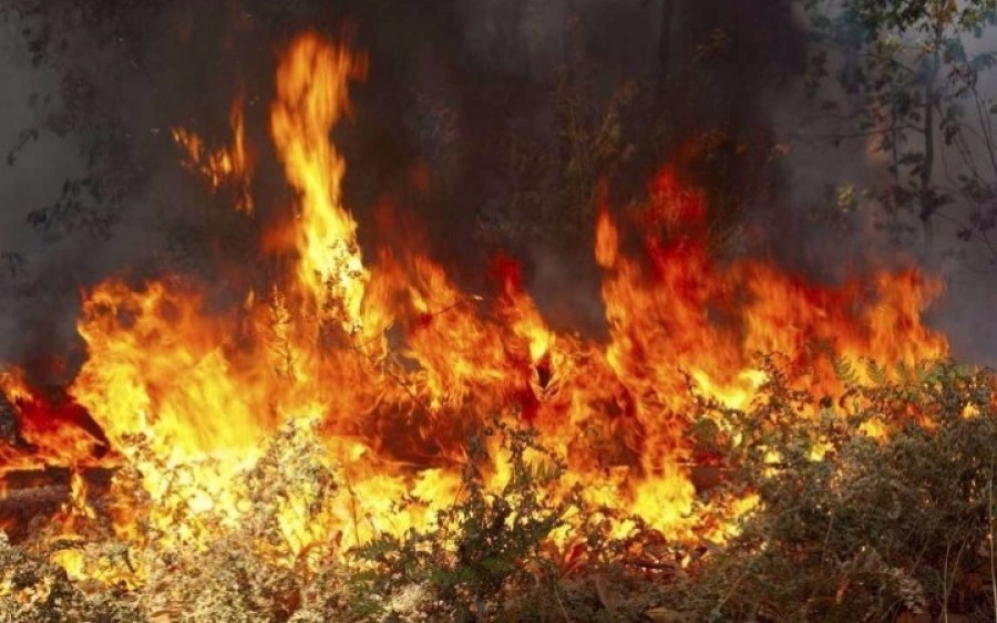 Πυρκαγιά εν υπαίθρω στον Κορυδαλλό Αττικής