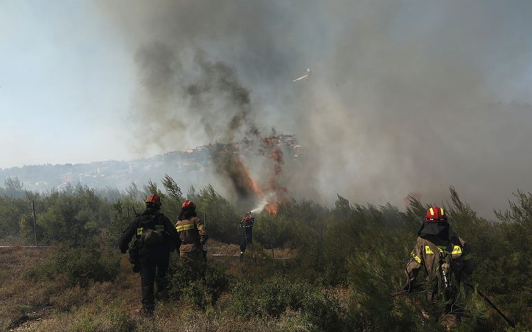 Πυροσβεστική: 6 δασικές πυρκαγιές το τελευταίο 24ωρο (04/05/22)