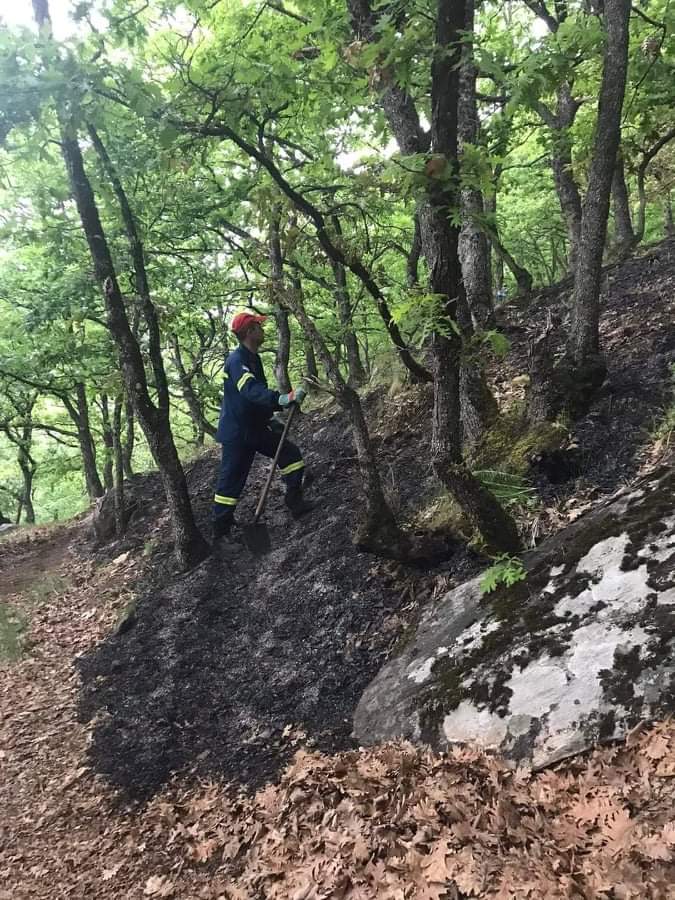 Πυρκαγιά σε δασική έκταση στην Πτολεμαΐδα (Φωτό)