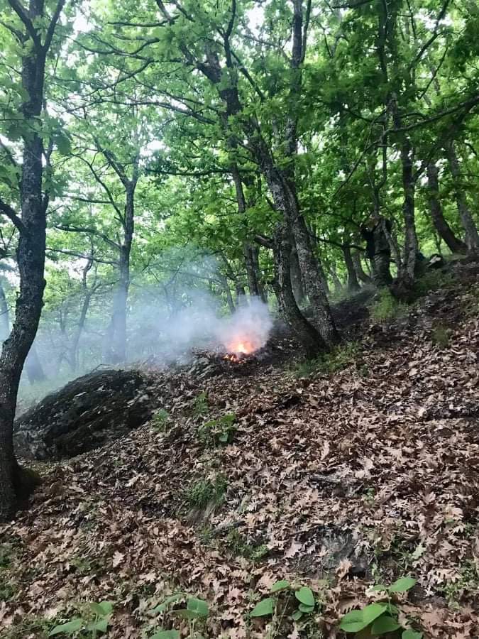 Πυρκαγιά σε δασική έκταση στην Πτολεμαΐδα (Φωτό)