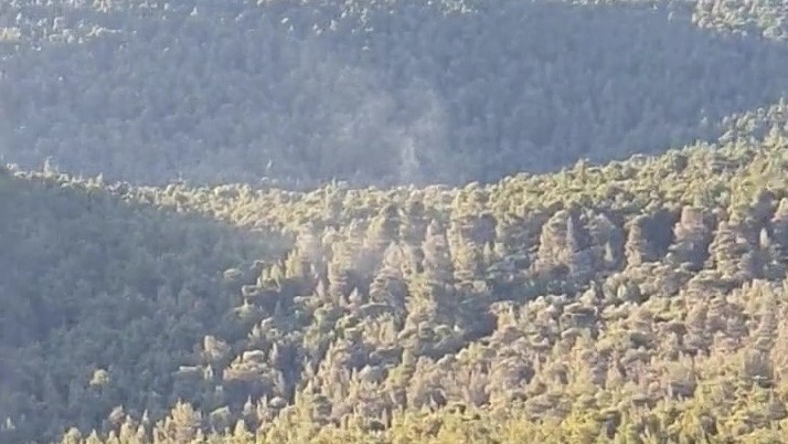 Πυρκαγιά στην περιοχή του Αγίου Ιωάννη στα Βίλια – Άμεση κινητοποίηση της Πυροσβεστικής