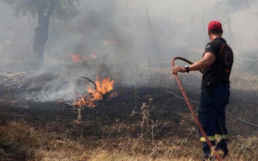 Πυρκαγιά σε δασική έκταση στην Παλιά Σκάλα Κεφαλονιάς