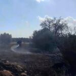 Πυρκαγιά εν υπαίθρω στις Αχαρνές Αττικής (Φωτό)