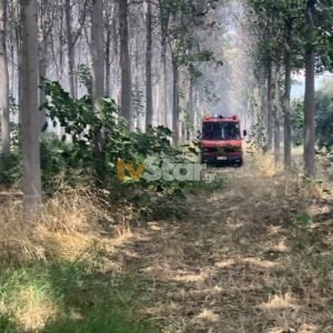 Πυρκαγιά εν υπαίθρω στην περιοχή της Μαυρομαντήλας στην Λαμία (Φωτό)