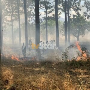 Πυρκαγιά εν υπαίθρω στην περιοχή της Μαυρομαντήλας στην Λαμία (Φωτό)