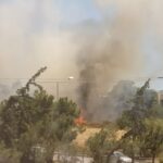 Πυρκαγιά σε παραλίμνια περιοχή στην Χλόη Καστοριάς