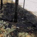 Πυρκαγιά σε εξέλιξη στην Αίγινα