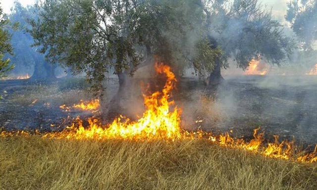 Πυρκαγιά εν υπαίθρω στον Βρανά Μαραθώνα