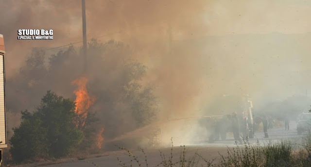 Πυρκαγιά στην περιοχή της Πουλακίδας στην Αργολίδα (Φωτό)