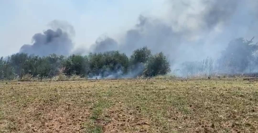 Πυρκαγιά σε αγροτοδασική έκταση στον Αλμυρό Βόλου (Φωτό)