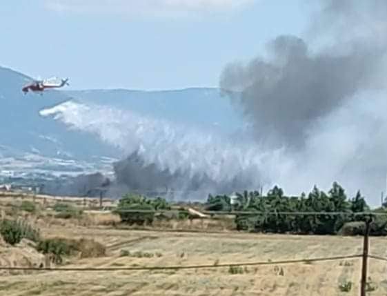 Θεσσαλονίκη: Υπό έλεγχο η πυρκαγιά στα Τσαΐρια στην Περαία