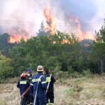 Πυρκαγιά ΤΩΡΑ σε δασική έκταση στο Αρχοντικό Λακωνίας